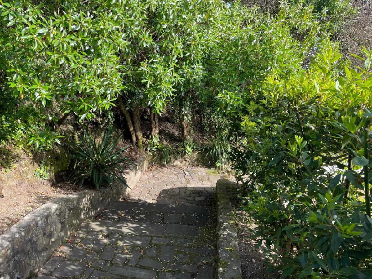קנגס דה מוראסו Villa En Playa Limens מראה חיצוני תמונה